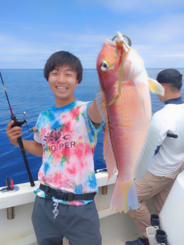 アマダイの釣果