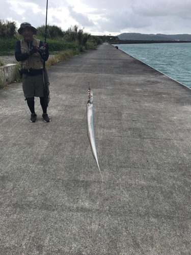 タチウオの釣果