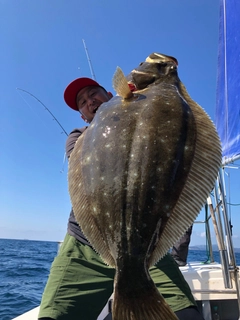 ヒラメの釣果