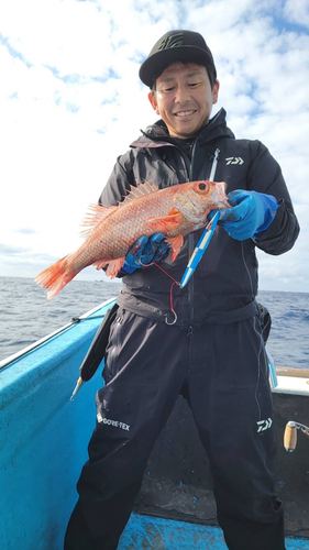 アカムツの釣果