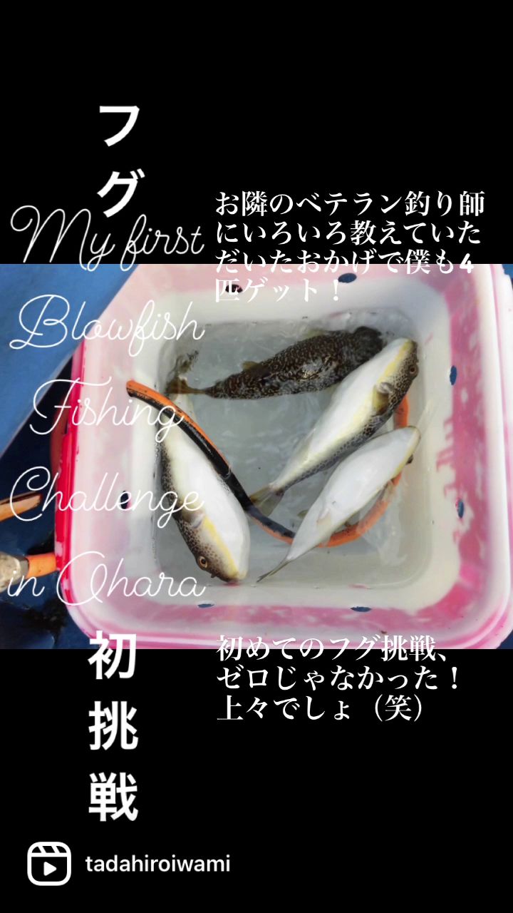 アングラーたあぼうさんの釣果 2枚目の画像