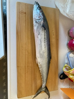 釣果