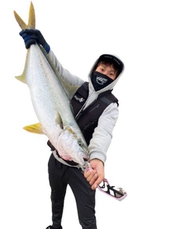 ヒラマサの釣果