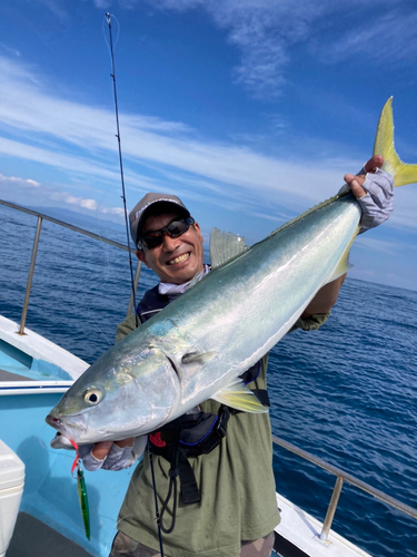 ブリの釣果