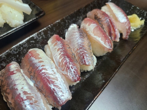 アジの釣果