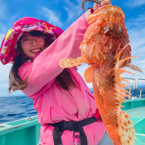 オニカサゴの釣果