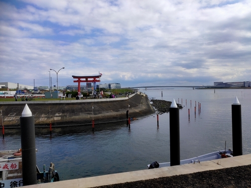 ハゼの釣果