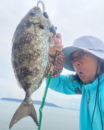 バリの釣果