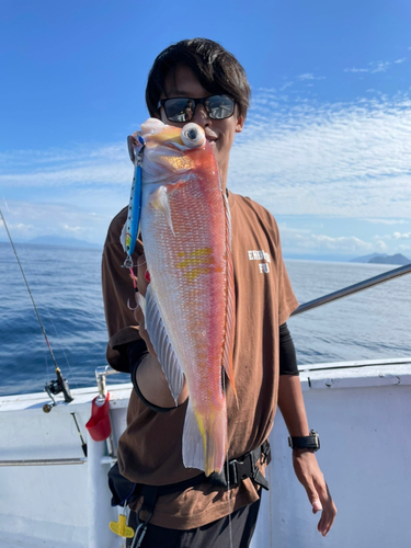 アマダイの釣果