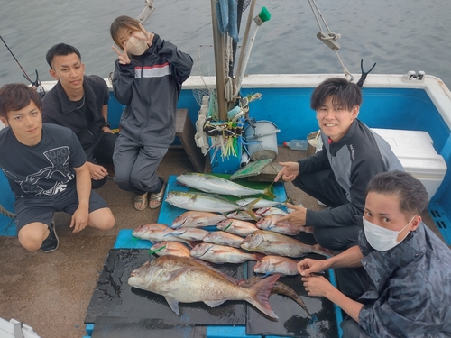 マダイの釣果