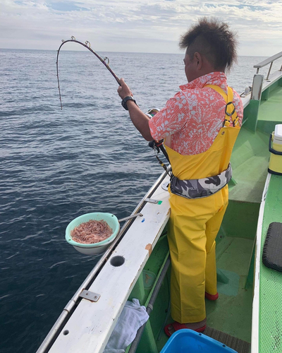 キハダマグロの釣果