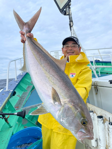 カンパチの釣果