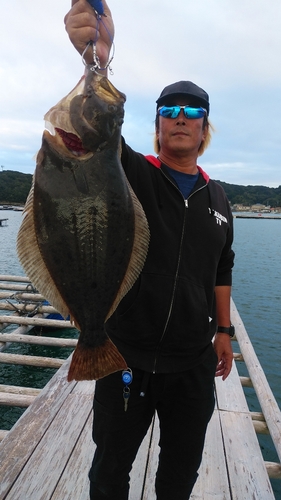 ガシラの釣果