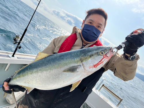 ブリの釣果