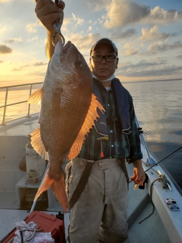 マダイの釣果