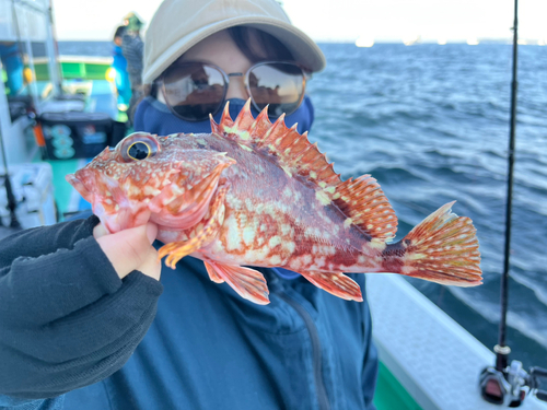 カサゴの釣果