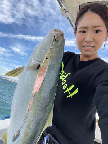 メジロの釣果