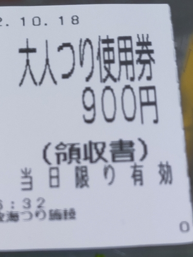 カタクチイワシの釣果