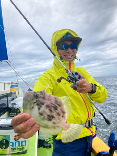 カワハギの釣果