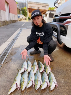 ハマチの釣果