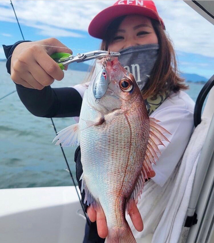 マダイの釣果