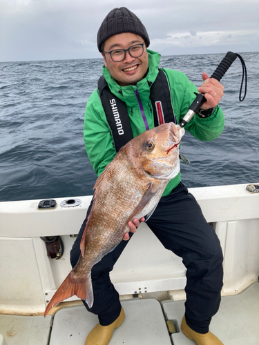 マダイの釣果