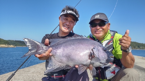 イシダイの釣果