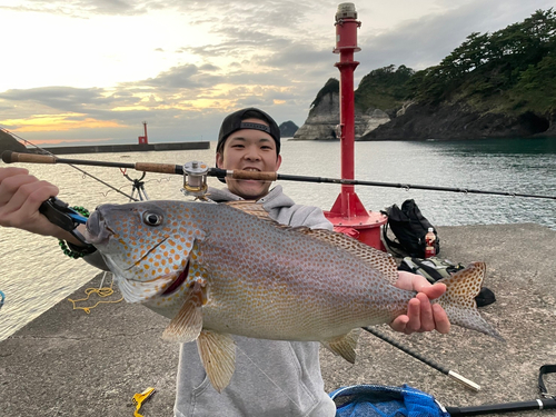 コロダイの釣果