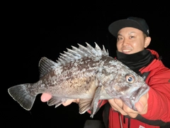 クロソイの釣果