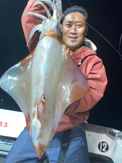 ソデイカの釣果