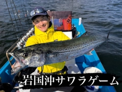 サワラの釣果