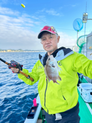 スズメダイの釣果