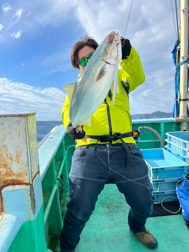 イナダの釣果