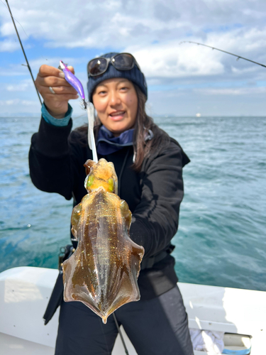 アオリイカの釣果