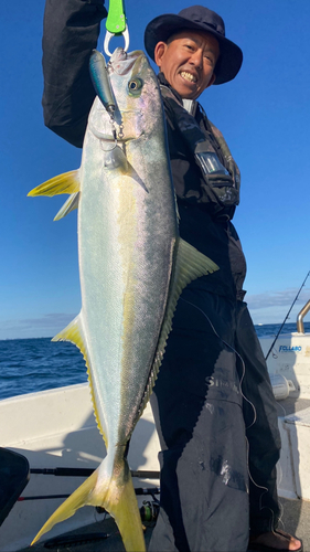 ヒラマサの釣果