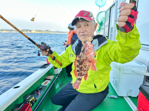 カサゴの釣果