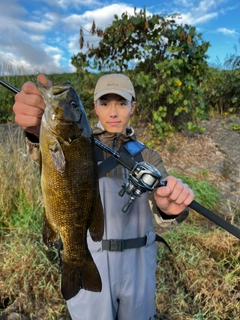 スモールマウスバスの釣果