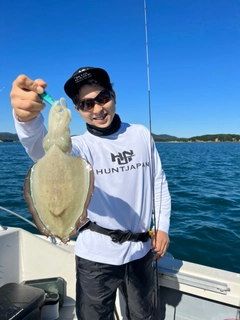 コウイカの釣果