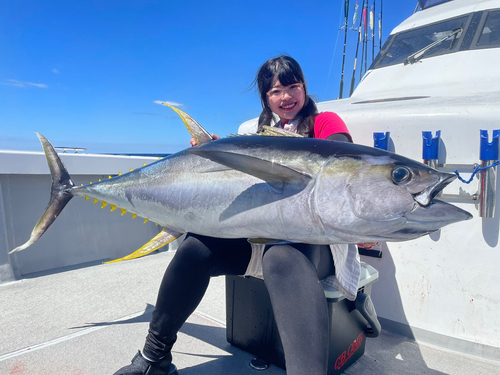 キハダマグロの釣果