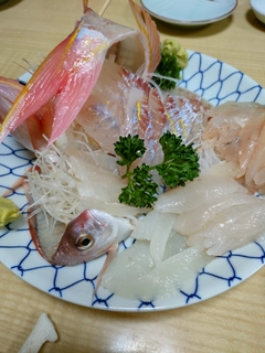 イトヨリダイの釣果