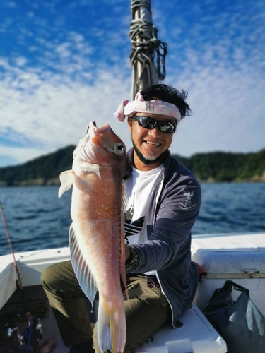 アマダイの釣果