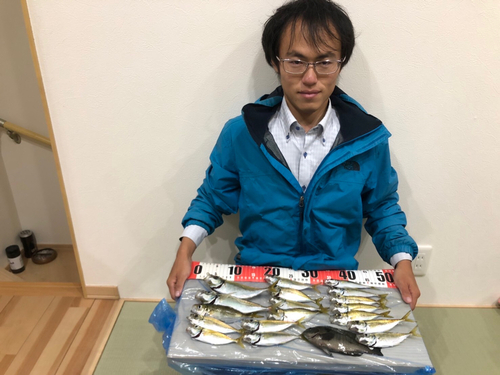 アジの釣果