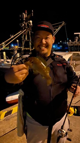 ガヤの釣果