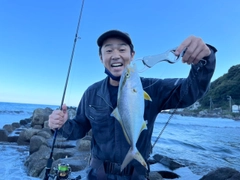 ショゴの釣果