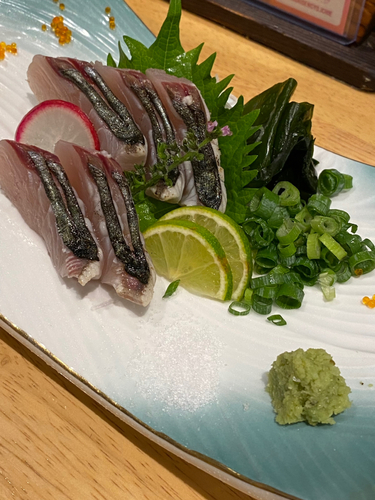 エソの釣果