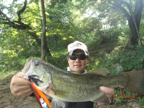 ブラックバスの釣果