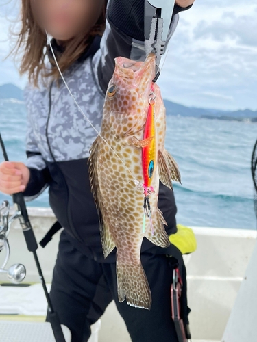 オオモンハタの釣果