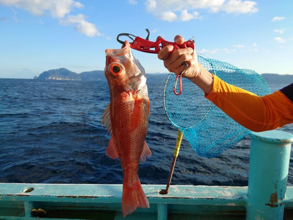 屁の屁のも屁痔さんの釣果 2枚目の画像