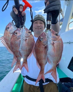 マダイの釣果