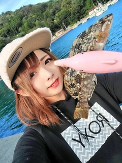 アイナメの釣果